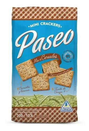 PASEO SALVADO MULTICEREAL X300G